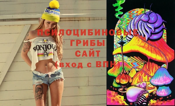 мяу мяу мука Сатка